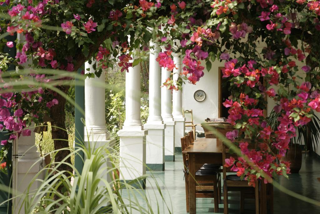 York Lodge ハラレ エクステリア 写真